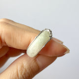 16.5mm A-Grade Natural Moss On Snow Jadeite Love Entwines Ring No. 162462